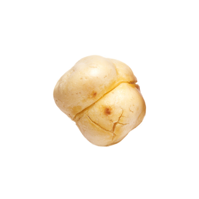 Picture of CHICKPEA